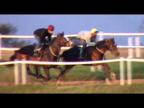 Lyford Cay trackwork