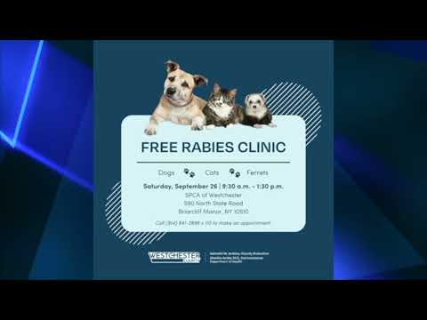 Westchester Rabies Clinic