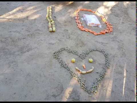 Happy Birthday, Shanti!