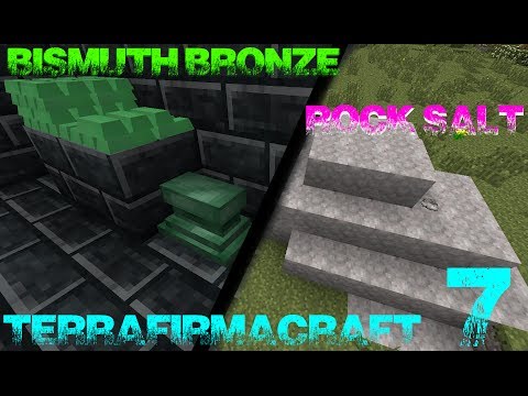 The Bismuth Bronze Age/Rock Salt! | Minecraft TerraFirmaCraft Ep. 7