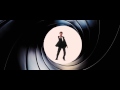Pierce Brosnan In Skyfall Gunbarrel