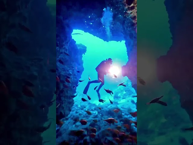 とんとんだいぶ
