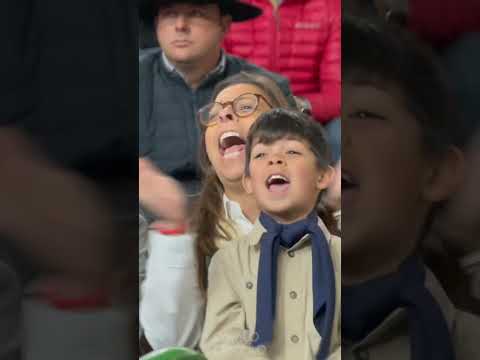 Emoções do Freio de Ouro