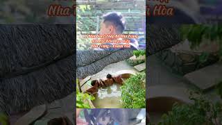 Top 5 địa điểm tắm b&ugrave;n kho&aacute;ng tại Nha Trang cho kh&aacute;ch du lịch