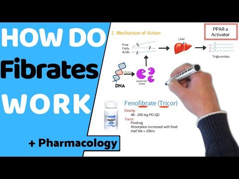 Fenolip 145mg Tablet