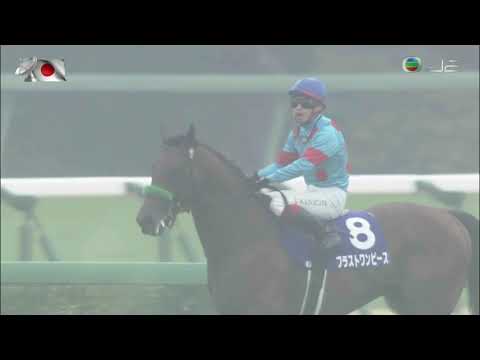 2018 Arima Kinen G1 - Blast Onepiece (防爆裝束) - K.Ikezoe