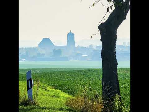 Gartz wählt AfD - und einen jungen Windkraft-Bürgermeister - Luca Piwodda (Gartz)