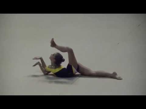 selena ML region nov 2011