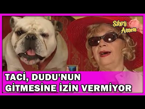 Taci, Dudu'nun Amerika'ya Gitmesine İzin Vermiyor! - Sihirli Annem Özel Klip