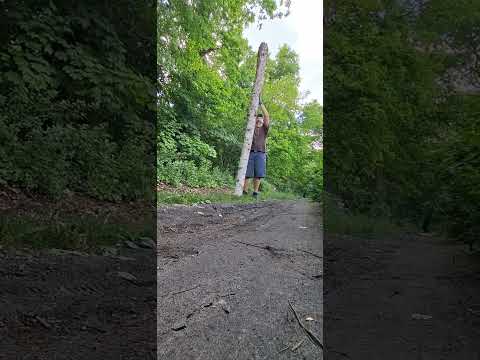 Neues Spielzeug im Wald gefunden #fitness #strongman #fitnessmotivation #kraftsport #funny