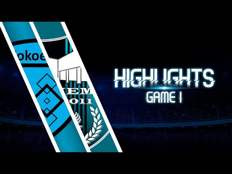 Maalikooste selostuksella | Salibandy | Kokoelma-Riemu