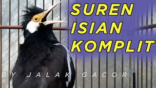 Download lagu Pancingan Jalak Suren Full Isian untuk Masteran Burung Jalak Agar Cepat Gacor dan ISIAN UNIK mp3