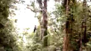 preview picture of video 'Monteverde Extremo The Tarzan Swing'