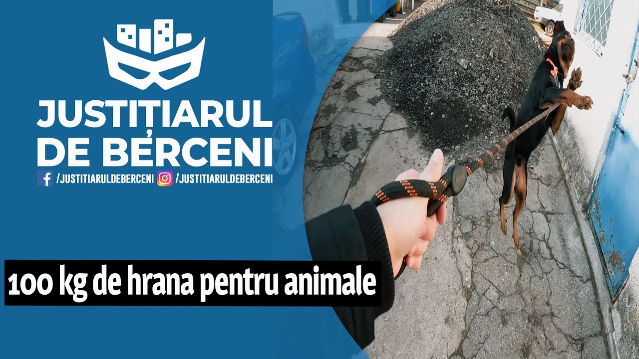 VIZITA LA UN ADAPOST DE ANIMALE - M-AM JUCAT CU UN ROTTWEILER