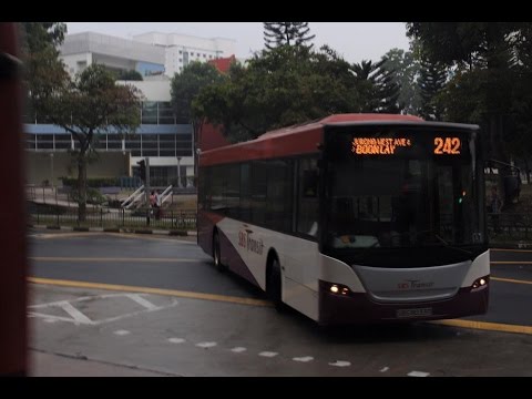 [SBS Transit] [Scania K230UB] (Demonstrator) SBS8033D on Service 242