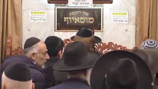 הרב בן ציון מוצפי  •  פרשת ויגש טבת תשפ"ה
