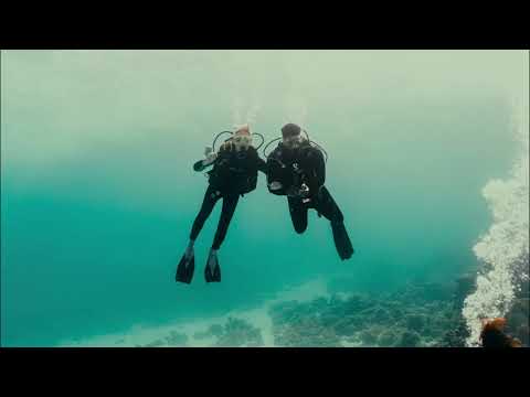 Sindalahs Liveaboard video
