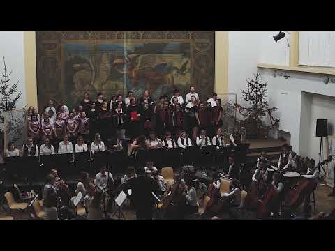 20. 12. 2018 Vánoční koncert, sokolovna Dolní Roveň - Luboš Fišer - Vánoční