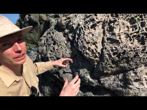 ⚒️ George the Geologist - Honeycomb Weathering