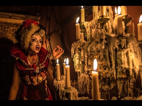 Mason House - with AREA 51