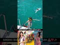 சிந்து பைரவி சீரியல் நடிகை ஆர்த்தி ️ �