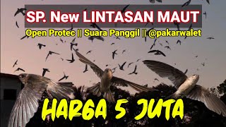 Download lagu SP. New LINTASAN MAUT || @pakarwalet Open Protec || Suara Panggil HARGA 5000.000 mp3 Download lagu SP. New LINTASAN MAUT || @pakarwalet Open Protec || Suara Panggil HARGA 5000.000 mp3