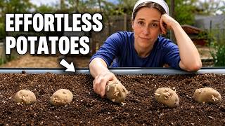 Grow Tons of Potatoes With Almost NO WORK
