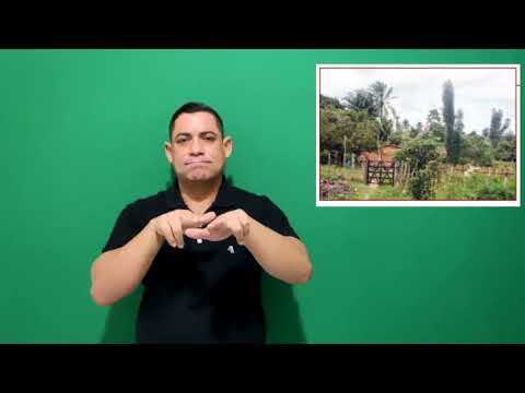 Miniatura do vídeo: Terreiro 022