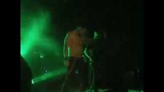The Butterfly Effect - Take it Away live at Melbourne