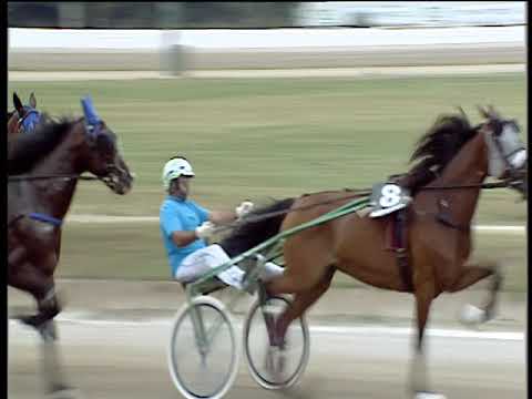 Trotto 21/09/2018 - 3ª corsa