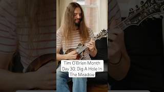 Tim O’Brien Month | Day 30: Dig A Hole In The Meadow (The Earls Of Leicester) #mandolin #timobrien