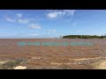 Tana River Freshwater Ecosystem Documentary National Museums Of Kenya Nairobi National Museum