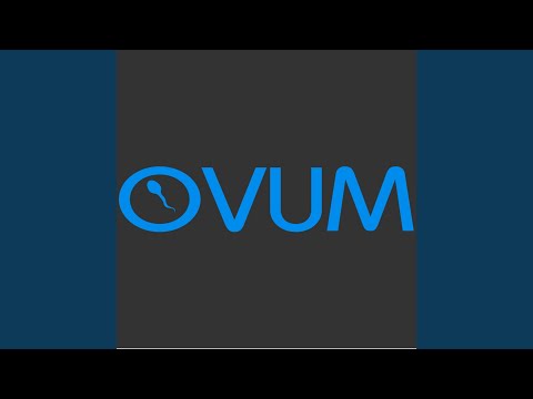 Flight LB 7475 (Original Mix)