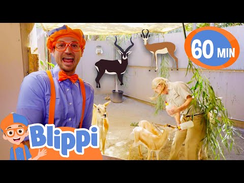 Blippi Loves Zoo Animals! | 1 Hour of Blippi Animals | Educational Videos for Kids