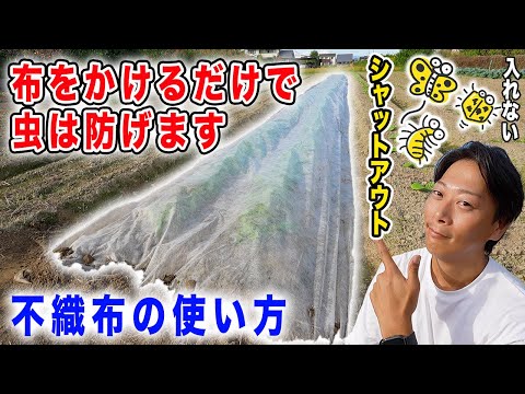 堆肥に虫が発生しないようにするにはどうすればよいですか?害虫と親友は誰ですか?  庭園