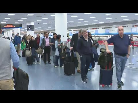 Miami Tsa Wait Times