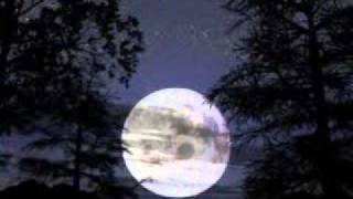 Cesare Cremonini - La fiera dei sogni