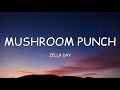 Zella Day Mushroom Punch Lyrics