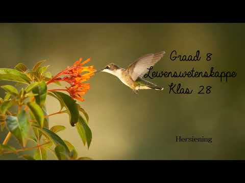 LEWENSWETENSKAP GRAAD 8: 13 Augustus 2020 - periode 7 (13087)