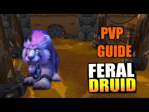 WOTLK- Feral Druid PvP Guide rotation