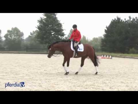 Pferde nach einer Pause antrainieren, so gehts! | Tipps von Ingrid Klimke | Frrag Ingrid