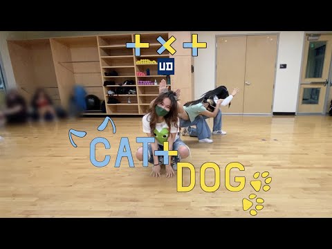 Cat & Dog - TXT | K-Pop Unit Workshop