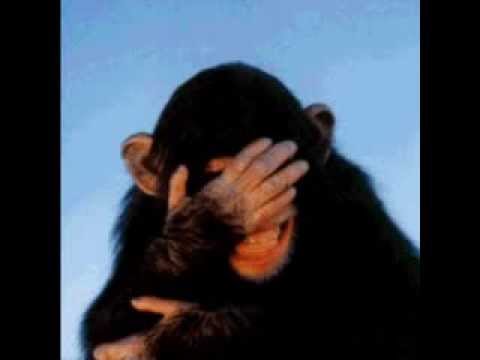 Badesalz Hessi James