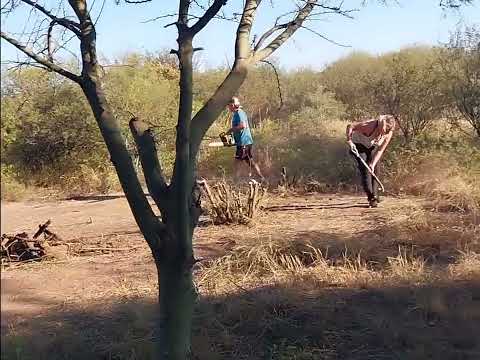 Nos mudamos a cruz del eje cordoba..