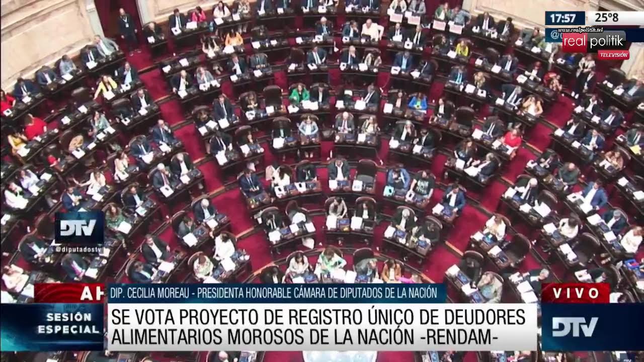 Diputados trata el registro nacional de deudores alimentarios y otros proyectos sociales