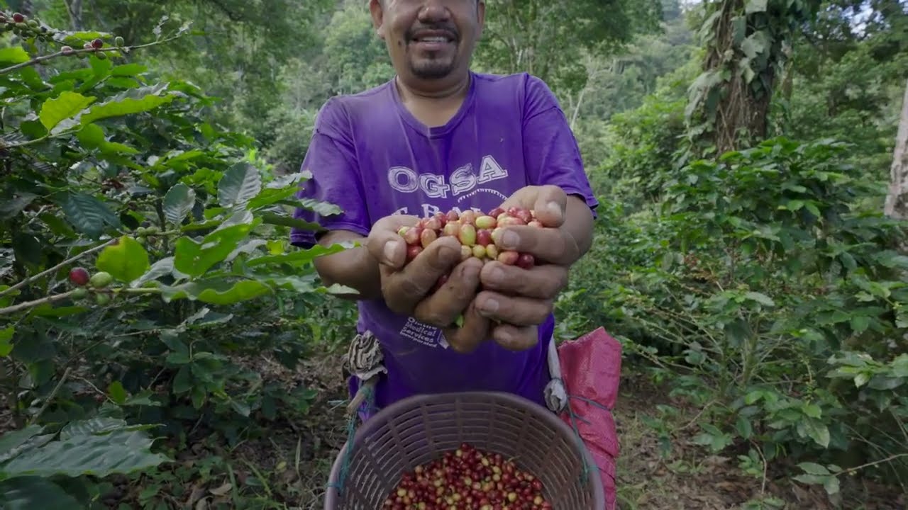 Meet coffee farmer José and his horse El Rojito