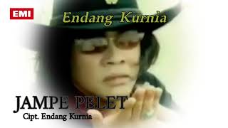 Download lagu ENDANG KURNIA - JAMPE PELET mp3
