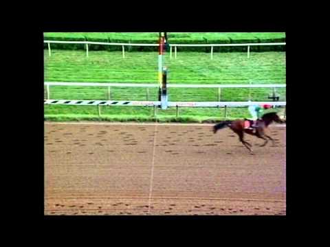 Sky Beauty - 1993 Alabama (G1)