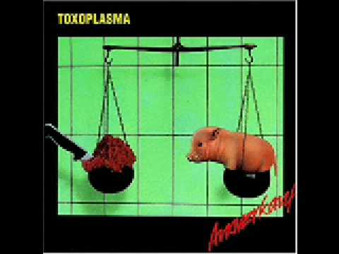 Toxoplasma - Pass verloren
