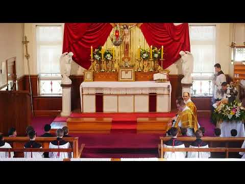 SSPXNZLIVE Livestream - 16 June 2019 High Mass